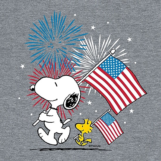 Snoopy And Woodstock American Flag Little & Big Kid Boys Crew Neck Short Sleeve Regular Fit Peanuts Snoopy Graphic T-Shirt
