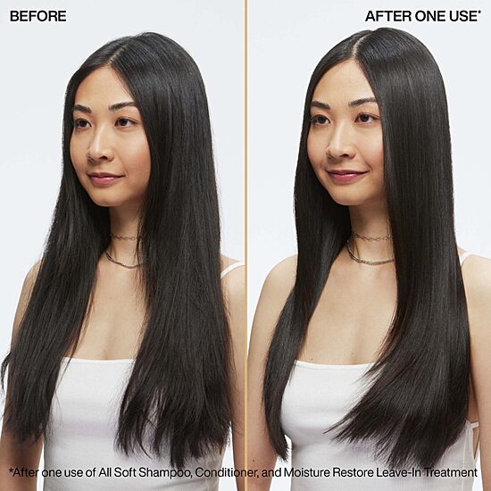 Redken Moisture Restore Leave In Hair Treatment 5.1 oz.