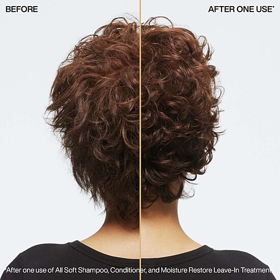 Redken Moisture Restore Leave In Hair Treatment 5.1 oz.