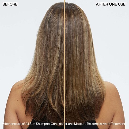 Redken Moisture Restore Leave In Hair Treatment 5.1 oz.