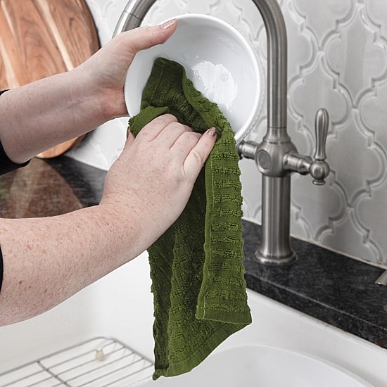 Ritz Royale Solid 3-pc. Dish Cloth Set