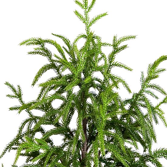 Nearly Natural Artificial Norfolk Pine 4 Foot Potted Pine Christmas Tree