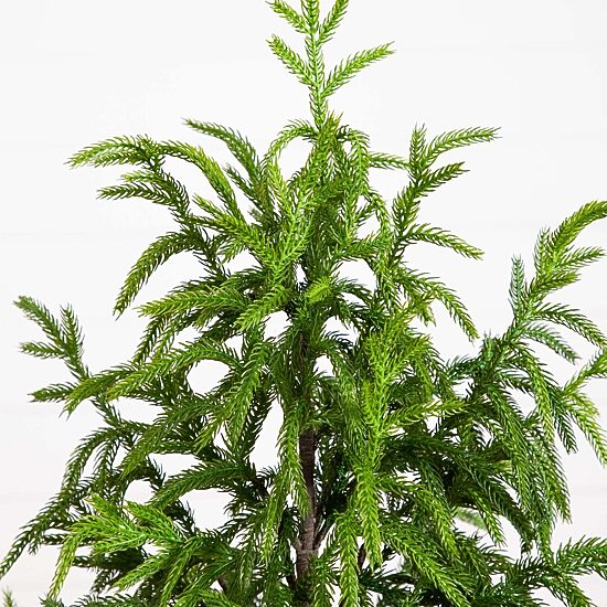 Nearly Natural Artificial Norfolk Pine 4 Foot Potted Pine Christmas Tree