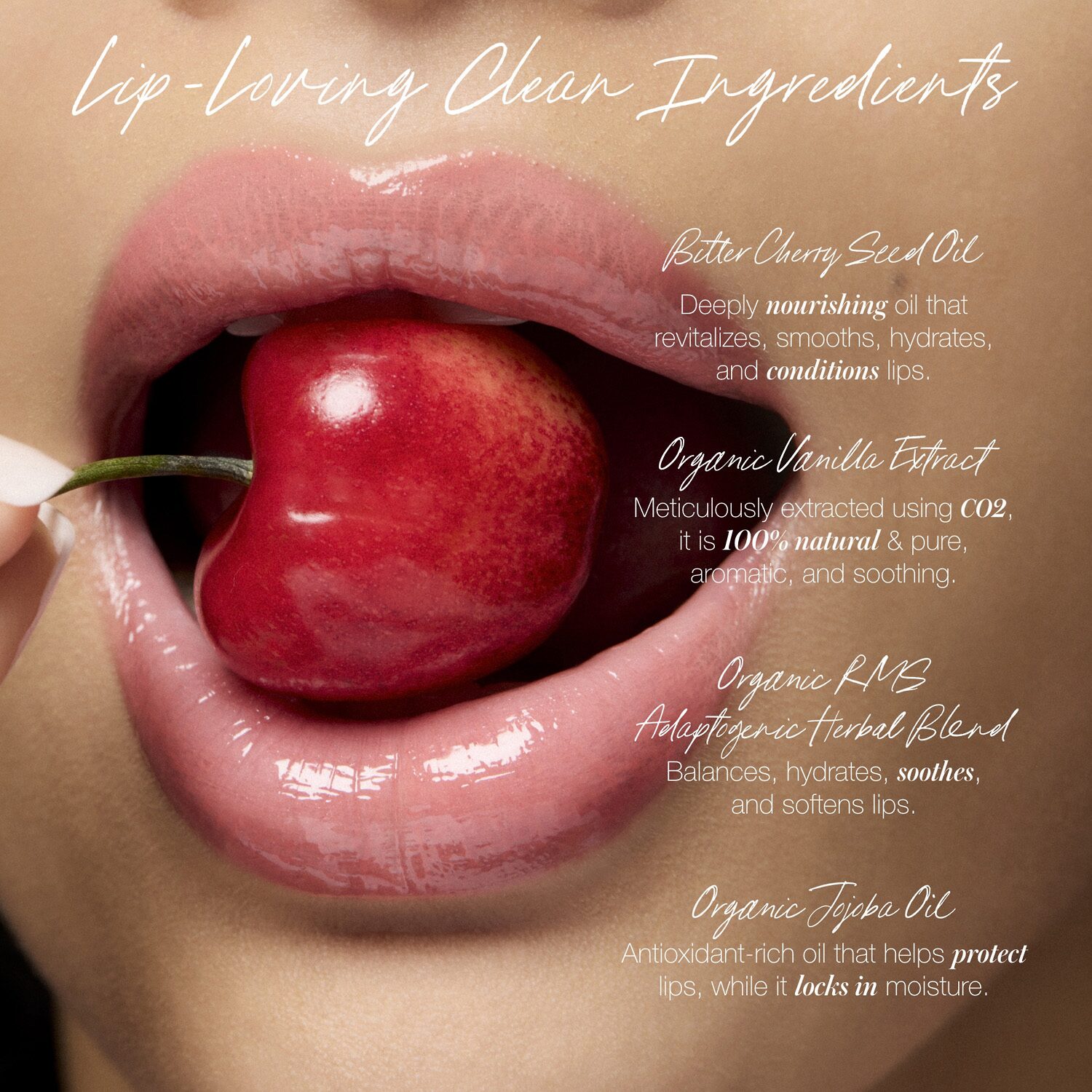 Rms Beauty Legendary Lip Oil