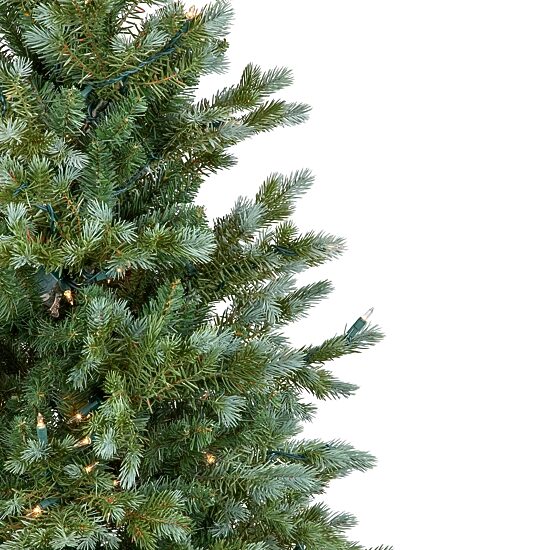 Northlight Potted Clear Lights 4 Foot Pre-Lit Spruce Christmas Tree
