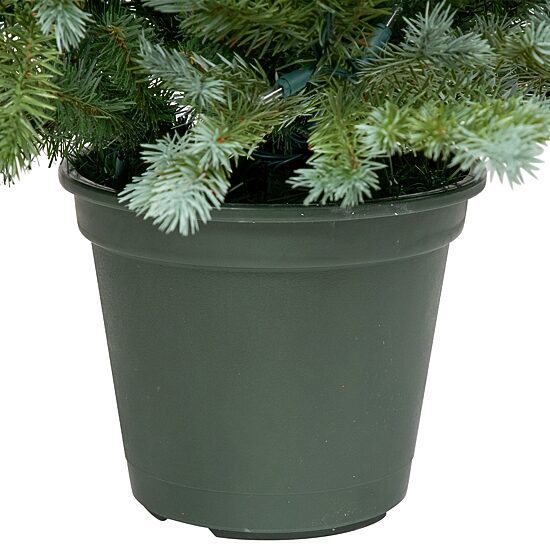 Northlight Potted Clear Lights 4 Foot Pre-Lit Spruce Christmas Tree