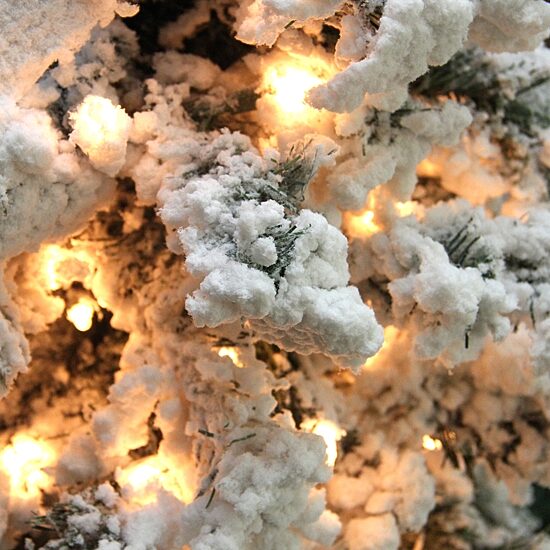 Northlight Flocked Medium 6 1/2 Foot Pre-Lit Pine Christmas Tree