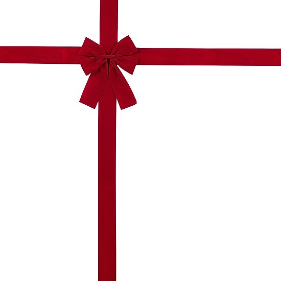 Northlight 14ft Red Velvet  Door Bow Ribbon