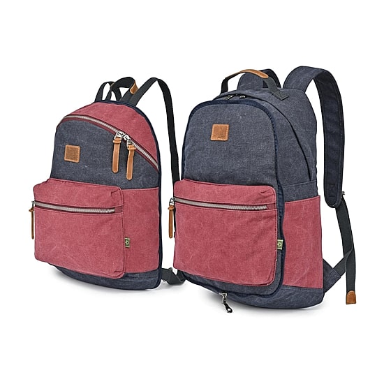 TSD Brand Trail Tree Double Canvas Laptop Backpack