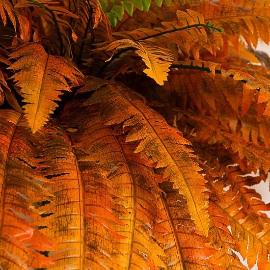 Nearly Natural 2-pc. Artificial Plant
