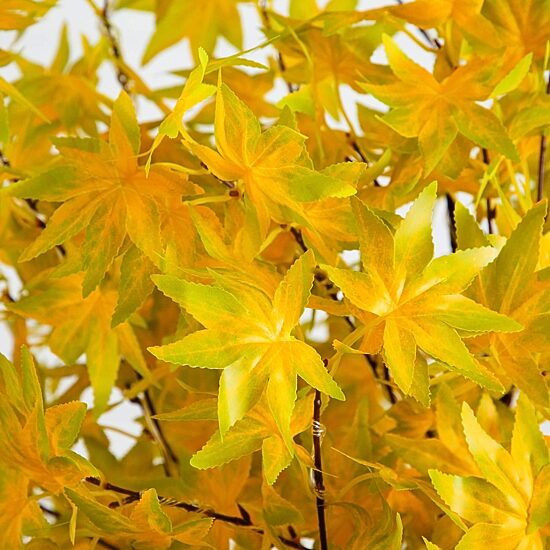 Nearly Natural 6ft Yellow Autumn Maple Lighted Indoor Artificial Tree