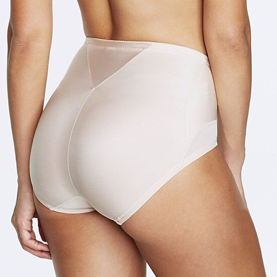 Dominique Control Briefs 3001