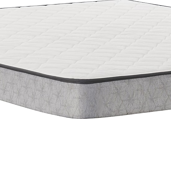 Sealy Essentials Peninsula 5.5" Medium Tight Top - Mattress Only