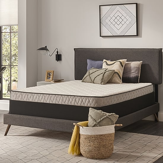 Sealy Essentials Peninsula 5.5" Medium Tight Top - Mattress Only