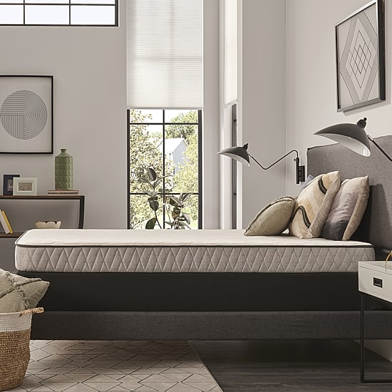 Sealy Essentials Peninsula 5.5" Medium Tight Top - Mattress Only