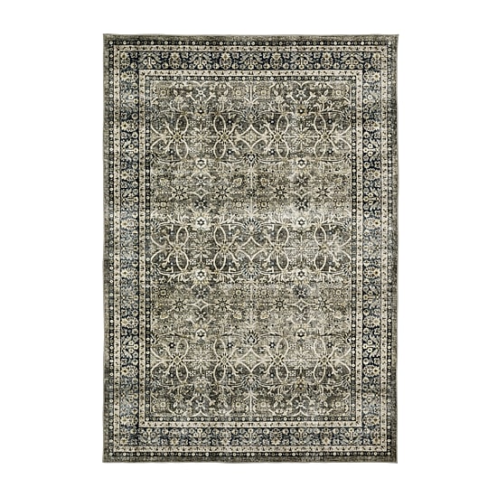 Covington Home Savannah Vintage Border Indoor Rectangular Area Rug