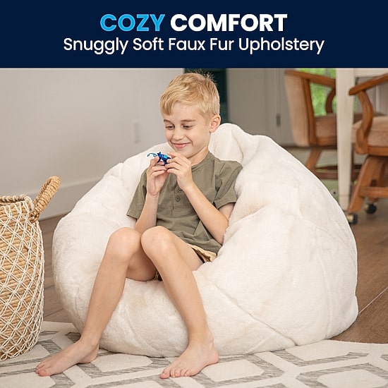 Dillion Bean Bag Furry Chair