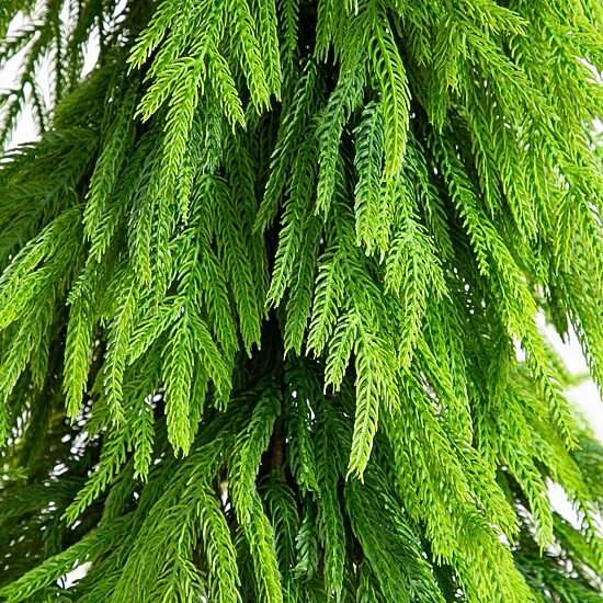Nearly Natural 5 Foot Pine Christmas Tree