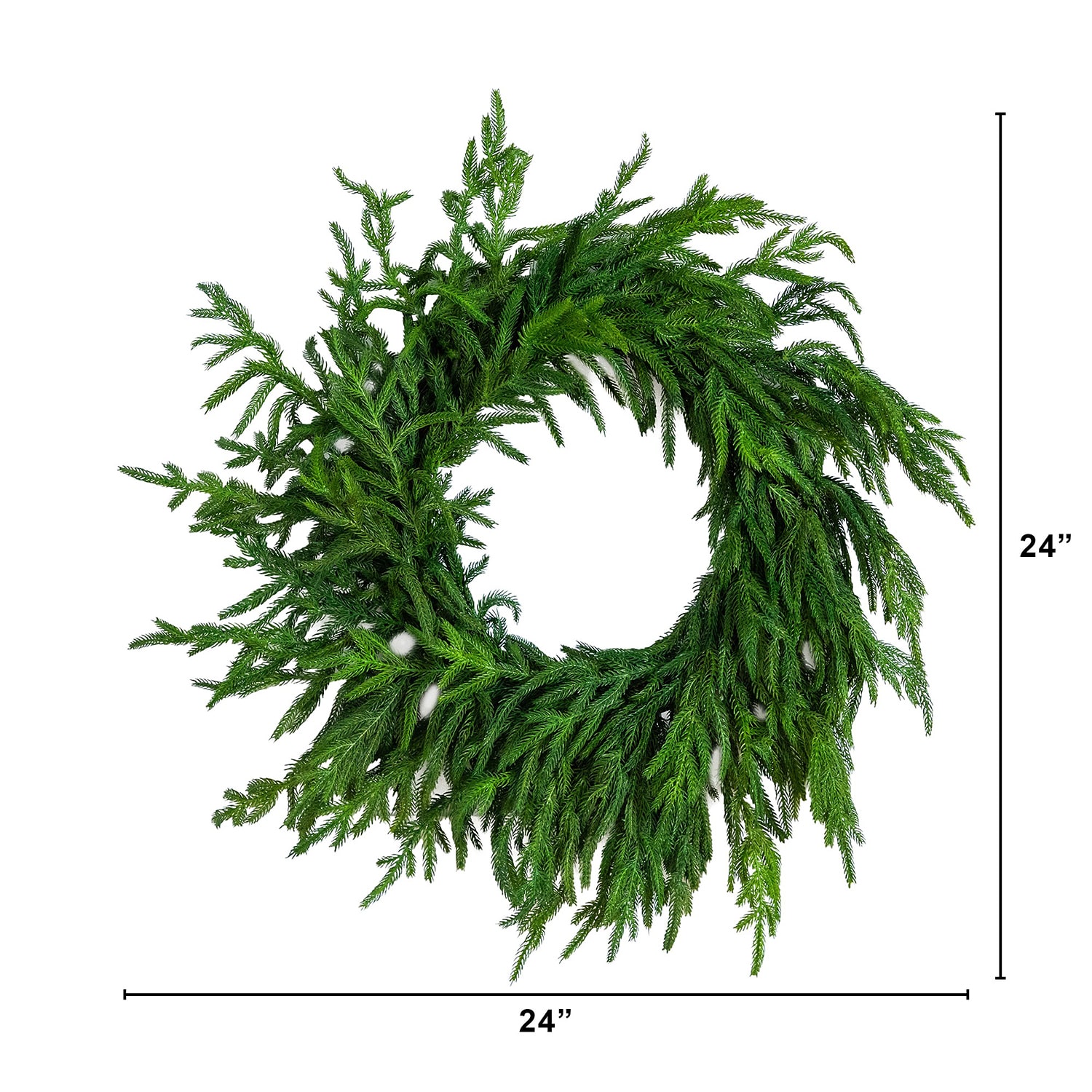 Nearly Natural 24in Real Touch Norfolk Pine Wreath Wreath