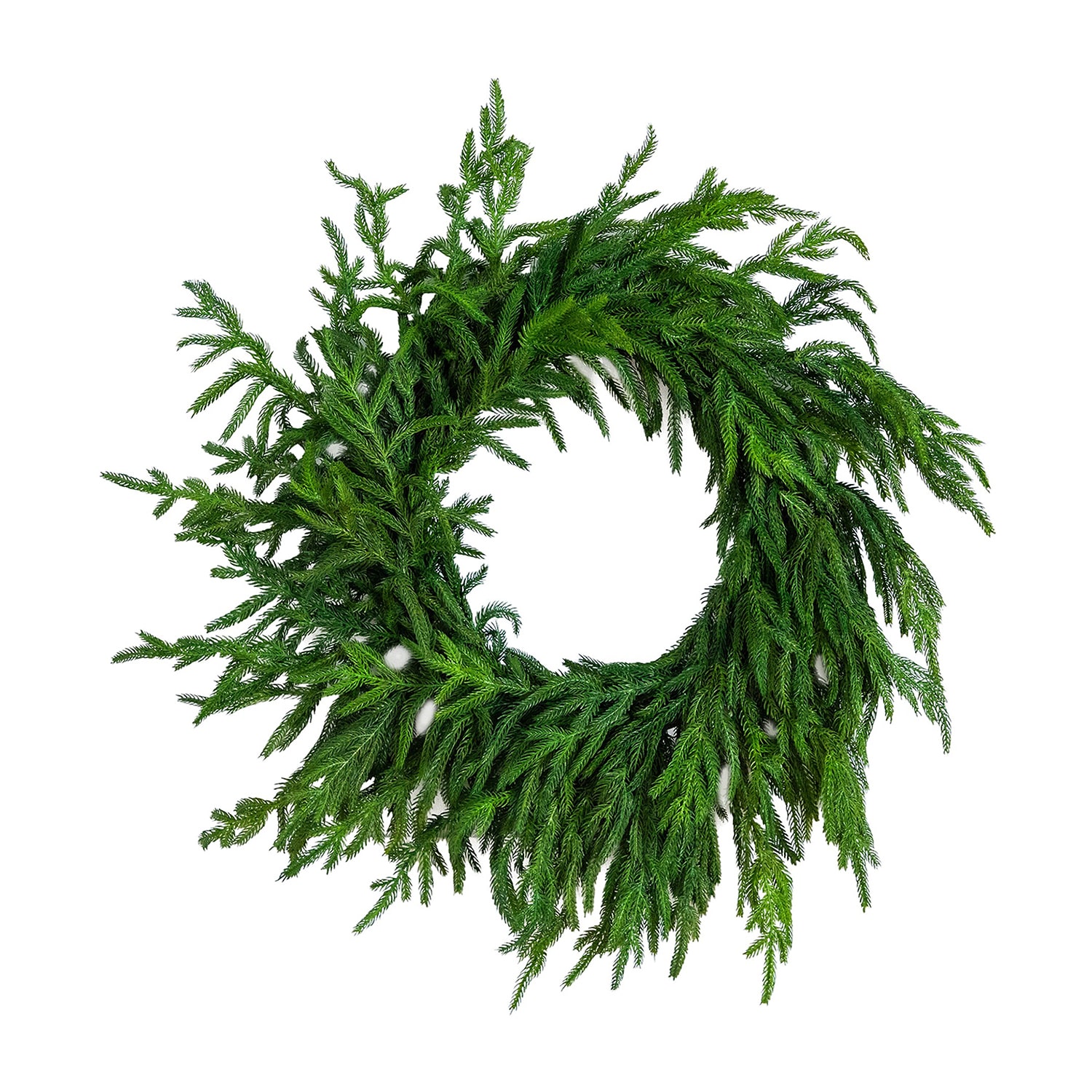 Nearly Natural 24in Real Touch Norfolk Pine Wreath Wreath