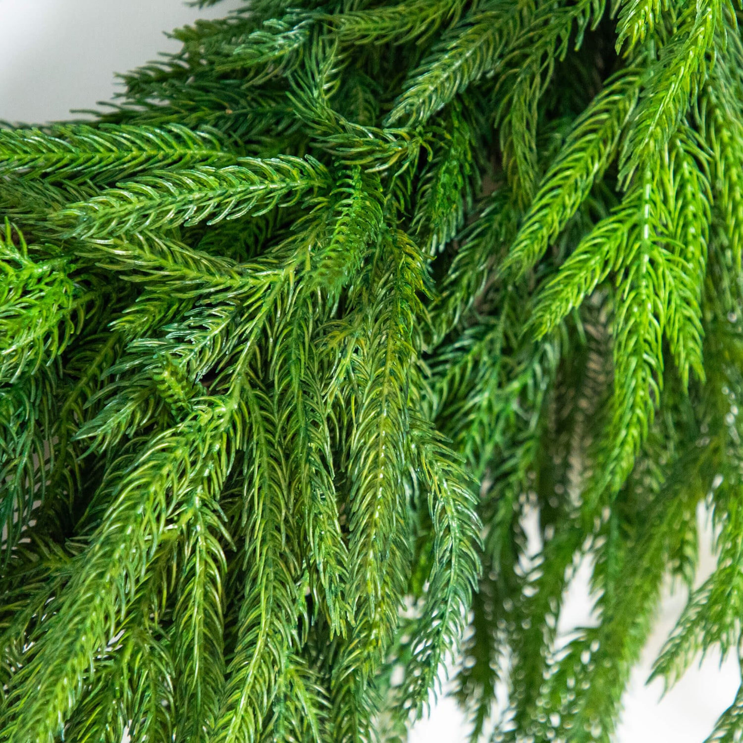 Nearly Natural 24in Real Touch Norfolk Pine Wreath Wreath
