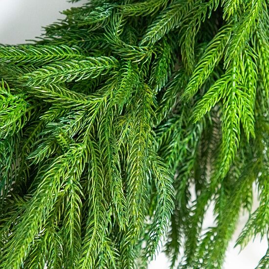 Nearly Natural 24in Real Touch Norfolk Pine Wreath Wreath