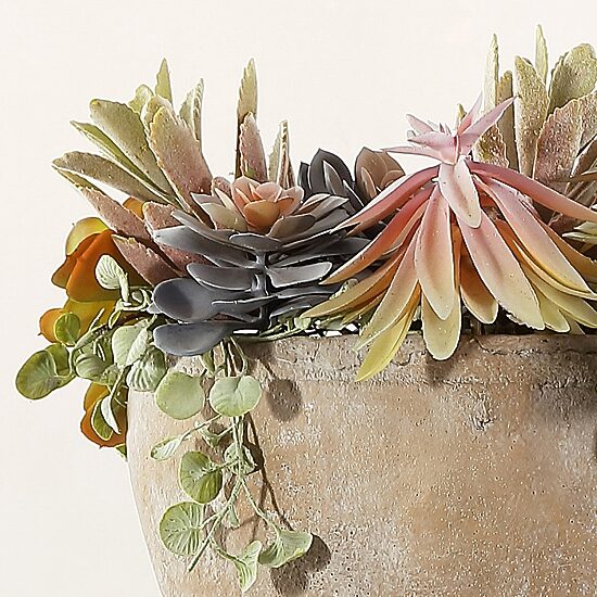Safavieh Succulent Artificial Plant