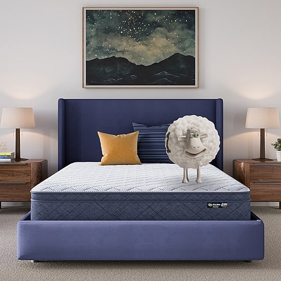 Serta Five Star Mattress 10" Plush Pillow Top - Mattress in a Box