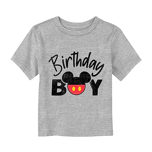 Disney Collection Toddler Boys Crew Neck Short Sleeve Regular Fit Mickey Mouse Graphic T-Shirt, 2t, Gray