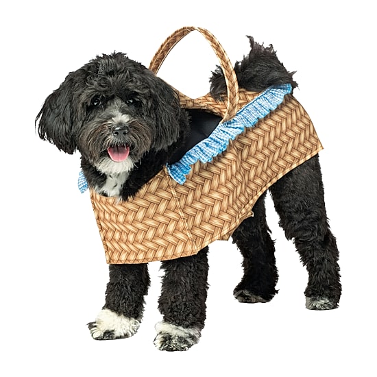 Rasta Imposta Dog Basket - Dog Costume