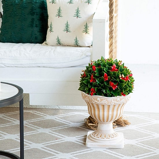 Nearly Natural 22" Red Tip Photinia Ball Artificial Plant