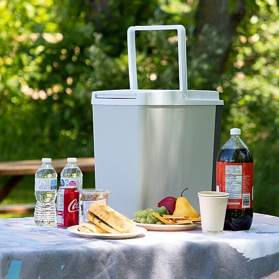 Koolatron Slim Compact P20 Thermoelectric Iceless 12V Cooler Warmer 17L