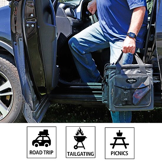 Koolatron Hybrid Portable 12V Cooler Bag