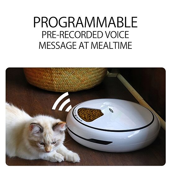 Lentek Programmable Five Meal Pet Dish with Voice Message