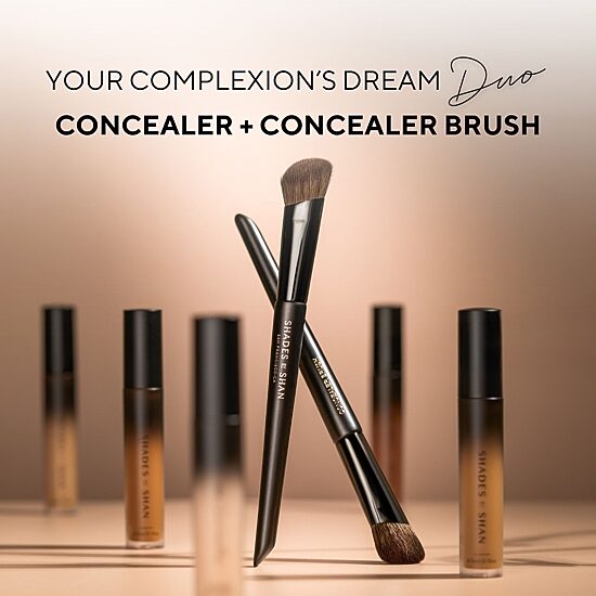 Shades By Shan The Concealer Brush