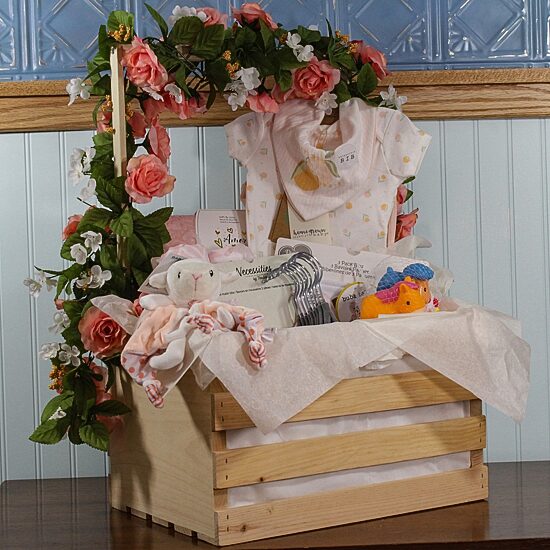 3 Stories Trading Company Baby Shower Gift Set Wardrobe Crate Girls 29-pc.