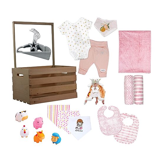 3 Stories Trading Company Baby Shower Gift Set Wardrobe Crate Girls 29-pc.