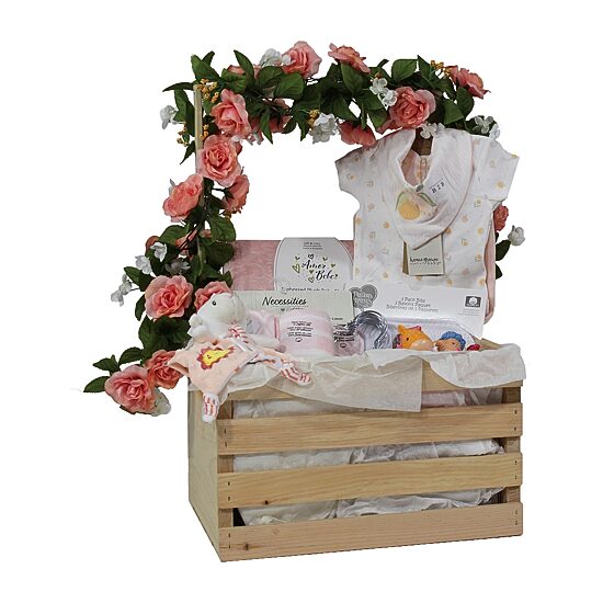 3 Stories Trading Company Baby Shower Gift Set Wardrobe Crate Girls 29-pc.