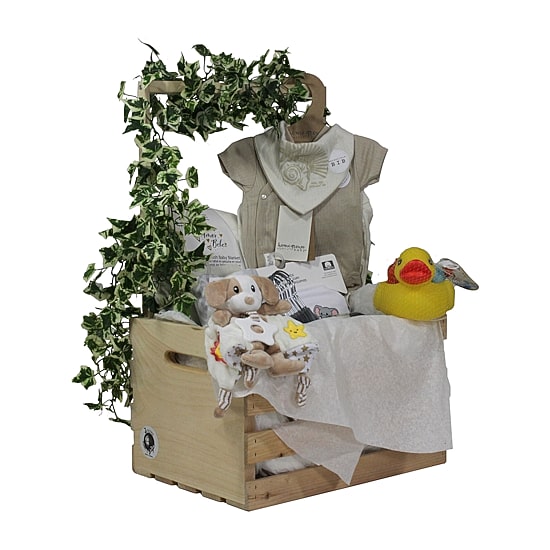 3 Stories Trading Company Baby Shower Gift Set Wardrobe Crate Unisex 29-pc.