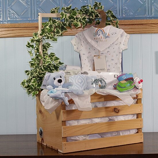 3 Stories Trading Company Baby Shower Gift Set Wardrobe Crate Boys 29-pc.
