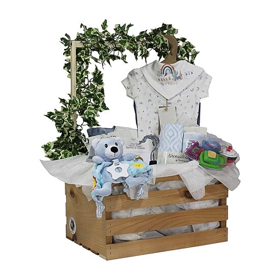 3 Stories Trading Company Baby Shower Gift Set Wardrobe Crate Boys 29-pc.