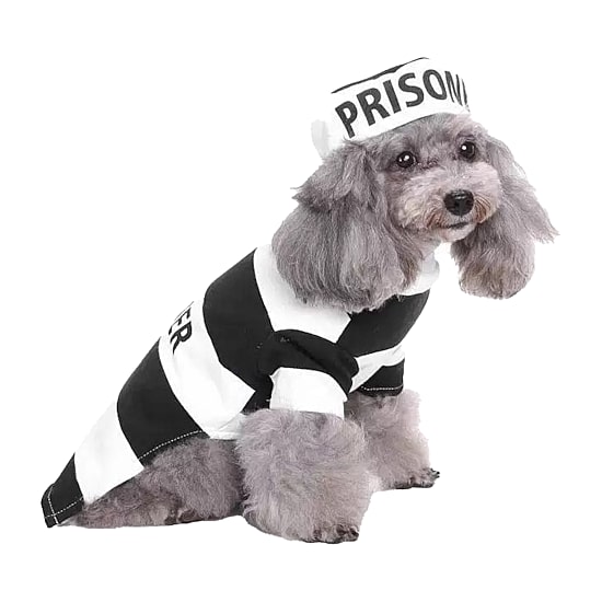 Pet Life Striped Retro Inmate Prisoner Uniform Dog Costume