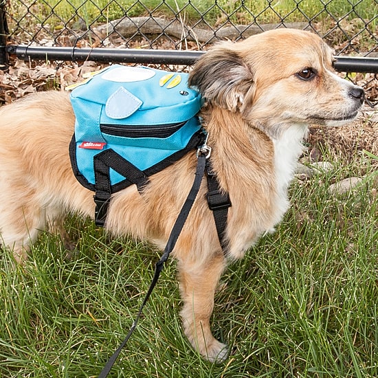 Pet Life Waggler Hobbler' Large-Pocketed Compartmental Animated Backpack Dog Harness