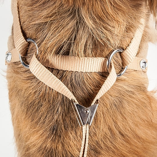 Pet Life Luxe 'Furracious' 2-In-1 Mesh Reversed Adjustable-Leash W/ Removable Fur Collar Dog Harness