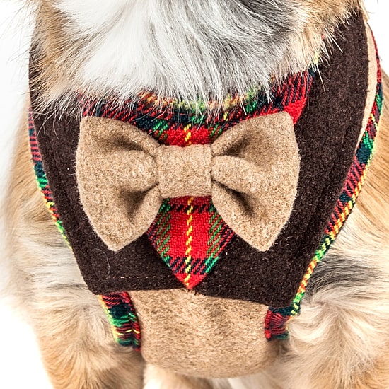 Pet Life Luxe 'Dapperbone' 2-In-1 Mesh Reversed Adjustable-Leash W/ Fashion Bowtie Dog Harness