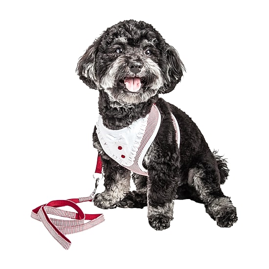 Pet Life Luxe 'Spawling' 2-In-1 Mesh Reversed Adjustable-Leash W/ Fashion Bowtie Dog Harness