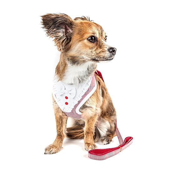 Pet Life Luxe 'Spawling' 2-In-1 Mesh Reversed Adjustable-Leash W/ Fashion Bowtie Dog Harness