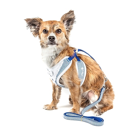 Pet Life Luxe 'Spawling' 2-In-1 Mesh Reversed Adjustable-Leash W/ Fashion Bowtie Dog Harness