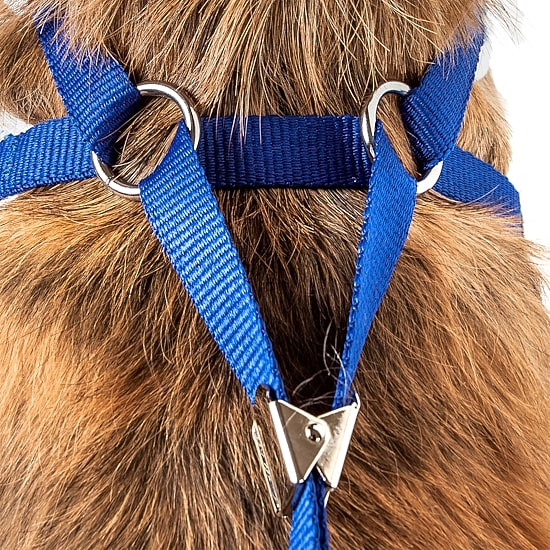 Pet Life Luxe 'Spawling' 2-In-1 Mesh Reversed Adjustable-Leash W/ Fashion Bowtie Dog Harness