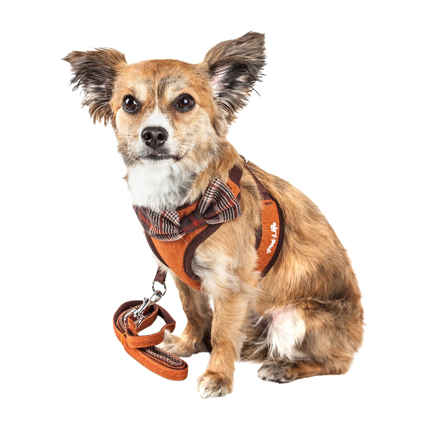 Pet Life Luxe 'Pawsh' 2-In-1 Mesh Reversed Adjustable-Leash W/ Fashion Bowtie Dog Harness